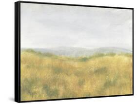 Wheat Fields I-Tim OToole-Framed Stretched Canvas