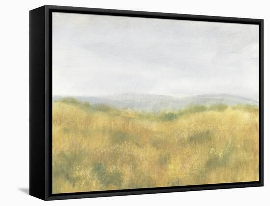 Wheat Fields I-Tim OToole-Framed Stretched Canvas