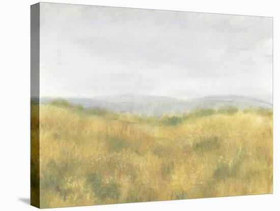 Wheat Fields I-Tim OToole-Stretched Canvas