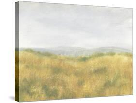 Wheat Fields I-Tim OToole-Stretched Canvas