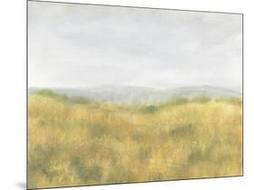 Wheat Fields I-Tim OToole-Mounted Art Print