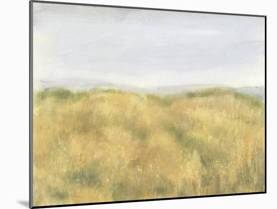 Wheat Fields II-Tim OToole-Mounted Art Print