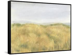 Wheat Fields II-Tim OToole-Framed Stretched Canvas