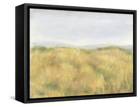 Wheat Fields II-Tim OToole-Framed Stretched Canvas