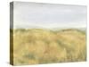 Wheat Fields II-Tim OToole-Stretched Canvas