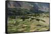 Wheat fields in the Panjshir Valley, Afghanistan, Asia-Alex Treadway-Framed Stretched Canvas