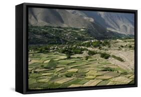 Wheat fields in the Panjshir Valley, Afghanistan, Asia-Alex Treadway-Framed Stretched Canvas