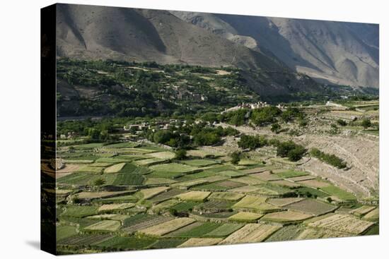 Wheat fields in the Panjshir Valley, Afghanistan, Asia-Alex Treadway-Stretched Canvas