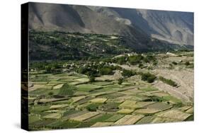 Wheat fields in the Panjshir Valley, Afghanistan, Asia-Alex Treadway-Stretched Canvas