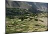 Wheat fields in the Panjshir Valley, Afghanistan, Asia-Alex Treadway-Mounted Photographic Print