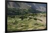 Wheat fields in the Panjshir Valley, Afghanistan, Asia-Alex Treadway-Framed Photographic Print