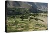 Wheat fields in the Panjshir Valley, Afghanistan, Asia-Alex Treadway-Stretched Canvas