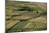 Wheat fields in the Panjshir Valley, Afghanistan, Asia-Alex Treadway-Mounted Photographic Print