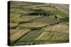 Wheat fields in the Panjshir Valley, Afghanistan, Asia-Alex Treadway-Stretched Canvas