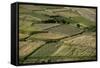 Wheat fields in the Panjshir Valley, Afghanistan, Asia-Alex Treadway-Framed Stretched Canvas