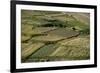 Wheat fields in the Panjshir Valley, Afghanistan, Asia-Alex Treadway-Framed Photographic Print