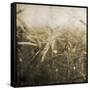 Wheat Fields Mate-Jace Grey-Framed Stretched Canvas