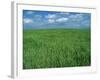 Wheat Fields Near Antequera, Spain-Gary Conner-Framed Photographic Print