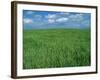 Wheat Fields Near Antequera, Spain-Gary Conner-Framed Photographic Print