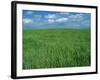 Wheat Fields Near Antequera, Spain-Gary Conner-Framed Photographic Print