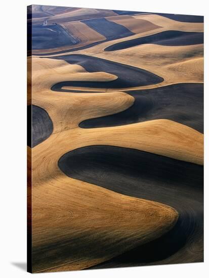 Wheat Fields of the Palouse Hills-Joseph Sohm-Stretched Canvas