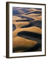 Wheat Fields of the Palouse Hills-Joseph Sohm-Framed Photographic Print