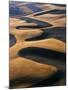 Wheat Fields of the Palouse Hills-Joseph Sohm-Mounted Photographic Print