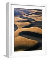 Wheat Fields of the Palouse Hills-Joseph Sohm-Framed Photographic Print