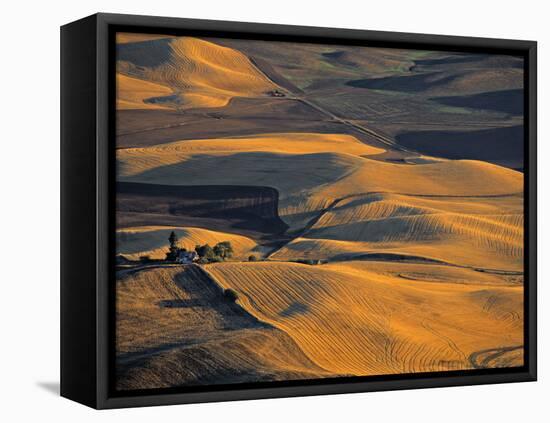 Wheat Fields, Palouse Region, Washington State, USA-Walter Bibikow-Framed Stretched Canvas