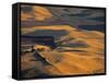Wheat Fields, Palouse Region, Washington State, USA-Walter Bibikow-Framed Stretched Canvas