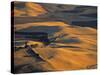 Wheat Fields, Palouse Region, Washington State, USA-Walter Bibikow-Stretched Canvas