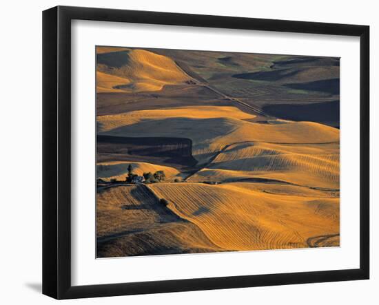 Wheat Fields, Palouse Region, Washington State, USA-Walter Bibikow-Framed Photographic Print