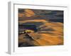 Wheat Fields, Palouse Region, Washington State, USA-Walter Bibikow-Framed Photographic Print