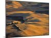 Wheat Fields, Palouse Region, Washington State, USA-Walter Bibikow-Mounted Photographic Print