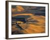Wheat Fields, Palouse Region, Washington State, USA-Walter Bibikow-Framed Photographic Print