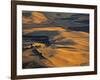 Wheat Fields, Palouse Region, Washington State, USA-Walter Bibikow-Framed Photographic Print