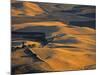 Wheat Fields, Palouse Region, Washington State, USA-Walter Bibikow-Mounted Photographic Print