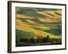 Wheat Fields, Palouse, Steptoe Butte State Park, Whitman County, Washington, USA-Charles Gurche-Framed Photographic Print