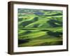 Wheat Fields, Palouse, Steptoe Butte State Park, Whitman County, Washington, USA-Charles Gurche-Framed Premium Photographic Print