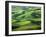 Wheat Fields, Palouse, Steptoe Butte State Park, Whitman County, Washington, USA-Charles Gurche-Framed Premium Photographic Print