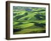 Wheat Fields, Palouse, Steptoe Butte State Park, Whitman County, Washington, USA-Charles Gurche-Framed Photographic Print