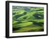 Wheat Fields, Palouse, Steptoe Butte State Park, Whitman County, Washington, USA-Charles Gurche-Framed Photographic Print