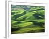 Wheat Fields, Palouse, Steptoe Butte State Park, Whitman County, Washington, USA-Charles Gurche-Framed Photographic Print