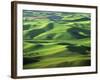 Wheat Fields, Palouse, Steptoe Butte State Park, Whitman County, Washington, USA-Charles Gurche-Framed Photographic Print