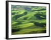 Wheat Fields, Palouse, Steptoe Butte State Park, Whitman County, Washington, USA-Charles Gurche-Framed Photographic Print