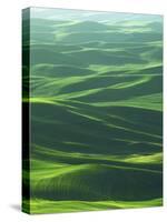 Wheat Fields, Palouse, Steptoe Butte State Park, Whitman County, Washington, USA-Charles Gurche-Stretched Canvas