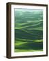 Wheat Fields, Palouse, Steptoe Butte State Park, Whitman County, Washington, USA-Charles Gurche-Framed Photographic Print