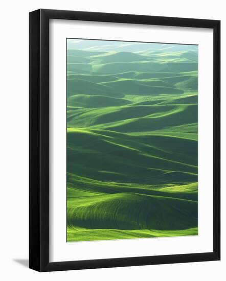 Wheat Fields, Palouse, Steptoe Butte State Park, Whitman County, Washington, USA-Charles Gurche-Framed Photographic Print