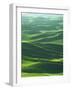 Wheat Fields, Palouse, Steptoe Butte State Park, Whitman County, Washington, USA-Charles Gurche-Framed Photographic Print