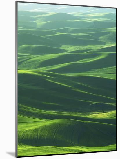 Wheat Fields, Palouse, Steptoe Butte State Park, Whitman County, Washington, USA-Charles Gurche-Mounted Photographic Print